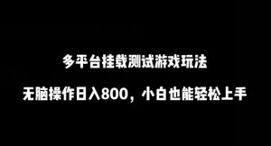 多平台挂载测试游戏玩法，无脑操作日入800，小白也能轻松上手【揭秘】-星启会