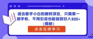 适合新手小白的搬砖项目，只需要一部手机、不用引流也能做到日入300+【揭秘】-星启会