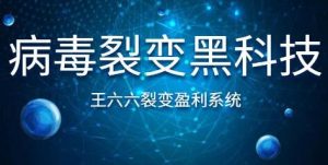 王六六裂变盈利系统课程第六课，病毒裂变黑科技-星启会