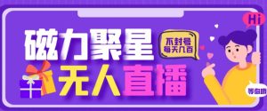 最新快手的磁力聚星玩法，挂无人直播，每天最少都几百米，还不封号-星启会