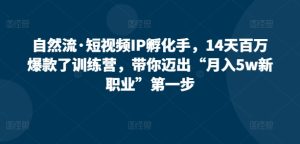 自然流·短视频IP孵化手，14天百万爆款了训练营，带你迈出“月入5w新职业”第一步-星启会