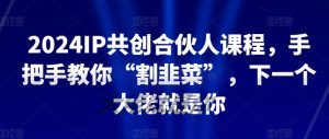 2024IP共创合伙人课程，手把手教你“割韭菜”，下一个大佬就是你-星启会