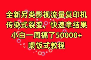 全新另类影视流量复印机，传染式裂变，快速拿结果，小白一周搞了50000+，喂饭式教程【揭秘】-星启会
