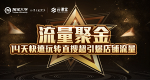 淘宝大学：流量聚金14天快速玩转直搜，超引爆店铺流量，价值8800元-星启会