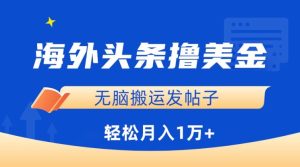 海外头条撸美金，无脑搬运发帖子，月入1万+，小白轻松掌握【揭秘】-星启会
