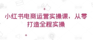 小红书电商运营实操课，​从零打造全程实操-星启会
