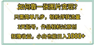 如何靠一张图片变现?只需简单几步，轻松俘获流量，3天起号，作品轻松过原创【揭秘】-星启会