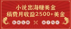 小说出海赚美金，稿费月收益2500+美金，仅需chatgpt粘贴复制，新手也能玩转【揭秘】-星启会