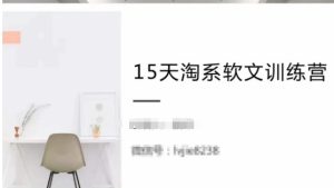 15天淘系软文训练营，跟年入50万的淘系软文导师，学习月收过万的淘系软文-星启会