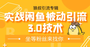 狼叔实战闲鱼被动引流3.0技术，无限上架玩法，免费送被动引流，高阶玩法实战总结-星启会