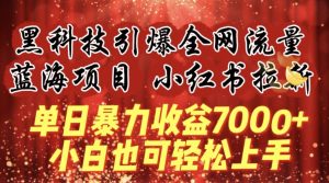 蓝海项目!黑科技引爆全网流量小红书拉新，单日暴力收益7000+，小白也能轻松上手【揭秘】-星启会