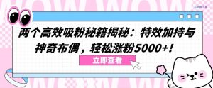 两个高效吸粉秘籍揭秘：特效加持与神奇布偶，轻松涨粉5000+【揭秘】-星启会