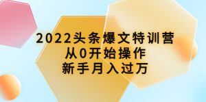 2022头条爆文特训营：从0开始操作，新手月入过万（16节课时）-星启会