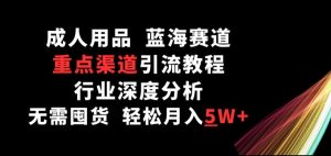 成人用品，蓝海赛道，重点渠道引流教程，行业深度分析，无需囤货，轻松月入5W+【揭秘】-星启会
