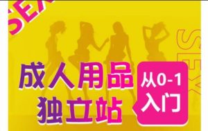 成人用品独立站从0-1入门，成品独立站运营全流程教学，七大好卖成品独立站推荐-星启会