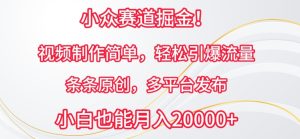 小众赛道掘金，视频制作简单，轻松引爆流量，条条原创，多平台发布【揭秘】-星启会