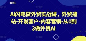 AI闪电做外贸实战课，​外贸建站-开发客户-内容营销-从0到3做外贸AI-星启会