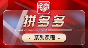 2024拼多多系列课，【基础】【运营】【活动】【推广】【玩法】5大模块-星启会