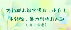 冷门成人识字项目，小白上手轻松，暴力创收月入5w+【揭秘】-星启会