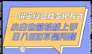 一份资料多种变现方式，小白也能轻松上手，日入800不是问题【揭秘】-星启会