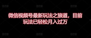 微信视频号最新玩法之狼道，目前玩法已轻松月入过万【揭秘】-星启会