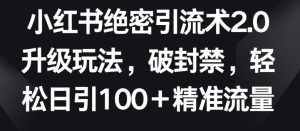小红书绝密引流术2.0升级玩法，破封禁，轻松日引100+精准流量【揭秘】-星启会