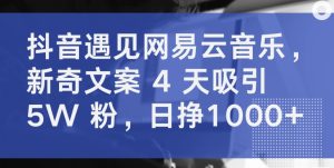 抖音遇见网易云音乐，新奇文案 4 天吸引 5W 粉，日挣1000+【揭秘】-星启会