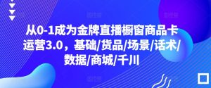 从0-1成为金牌直播橱窗商品卡运营3.0，基础/货品/场景/话术/数据/商城/千川-星启会