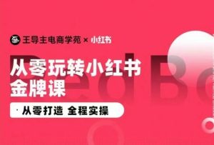 王导主·小红书电商运营实操课,从零打造 全程实操-星启会