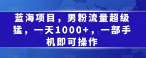 蓝海项目，男粉流量超级猛，一天1000+，一部手机即可操作【揭秘】-星启会