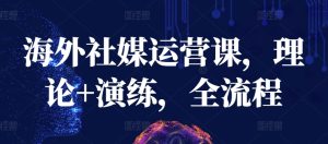 海外社媒运营课，理论+演练，全流程-星启会