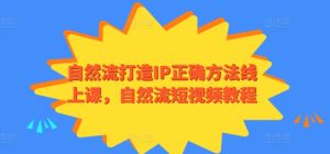 自然流打造IP正确方法线上课，自然流短视频教程-星启会