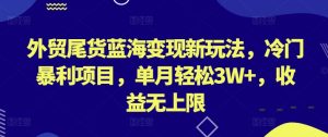 外贸尾货蓝海变现新玩法，冷门暴利项目，单月轻松3W+，收益无上限【揭秘】-星启会