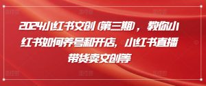 2024小红书文创(第三期),教你小红书如何养号和开店,小红书直播带货卖文创等-星启会