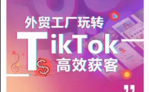 外贸工厂玩转TikTok高效获客，多种引流方式与账号定位技巧，拆解爆款短视频打造成功案例-星启会