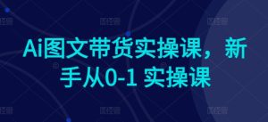 Ai图文带货实操课，新手从0-1 实操课-星启会