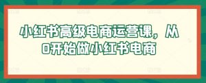 小红书高级电商运营课，从0开始做小红书电商-星启会