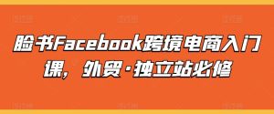 脸书Facebook跨境电商入门课，外贸·独立站必修-星启会