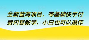 全新蓝海项目，零基础快手付费内容教学，小白也可以操作【揭秘】-星启会