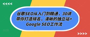 谷歌SEO从入门到精通，30讲带你打造排名，清晰的独立站+Google SEO工作流-星启会