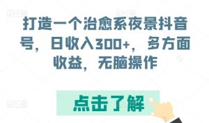 打造一个治愈系夜景抖音号，日收入300+，多方面收益，无脑操作【揭秘】-星启会