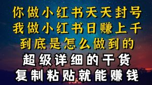 都知道小红书能引流私域变现，可为什么我能一天引流几十人变现上千，但你却频频封号违规被限流【揭秘】-星启会
