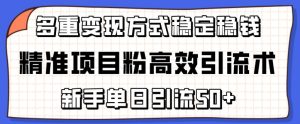精准项目粉高效引流术，新手单日引流50+，多重变现方式稳定赚钱【揭秘】-星启会