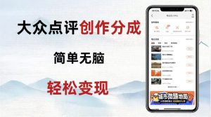 大众点评新玩法！零成本！新手也能每日轻松入袋300+！【揭秘】-星启会