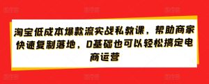 淘宝低成本爆款流实战私教课，帮助商家快速复制落地，0基础也可以轻松搞定电商运营-星启会