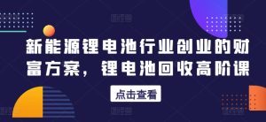 新能源锂电池行业创业的财富方案，锂电池回收高阶课-星启会