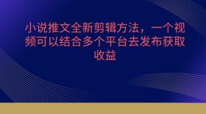 小说推文全新剪辑方法，一个视频可以结合多个平台去发布获取【揭秘】-星启会