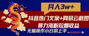 抖音热门文案+网易云截图暴力涨粉拉爆收益玩法，小白无脑操作，简单易上手【揭秘】-星启会