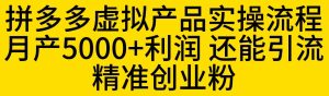 拼多多虚拟产品实操流程，月产5000+利润，还能引流精准创业粉【揭秘】-星启会