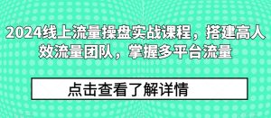 2024线上流量操盘实战课程，搭建高人效流量团队，掌握多平台流量-星启会